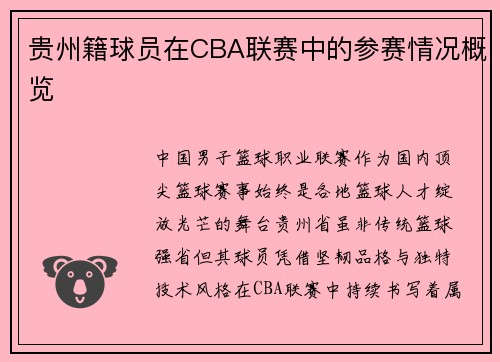 贵州籍球员在CBA联赛中的参赛情况概览